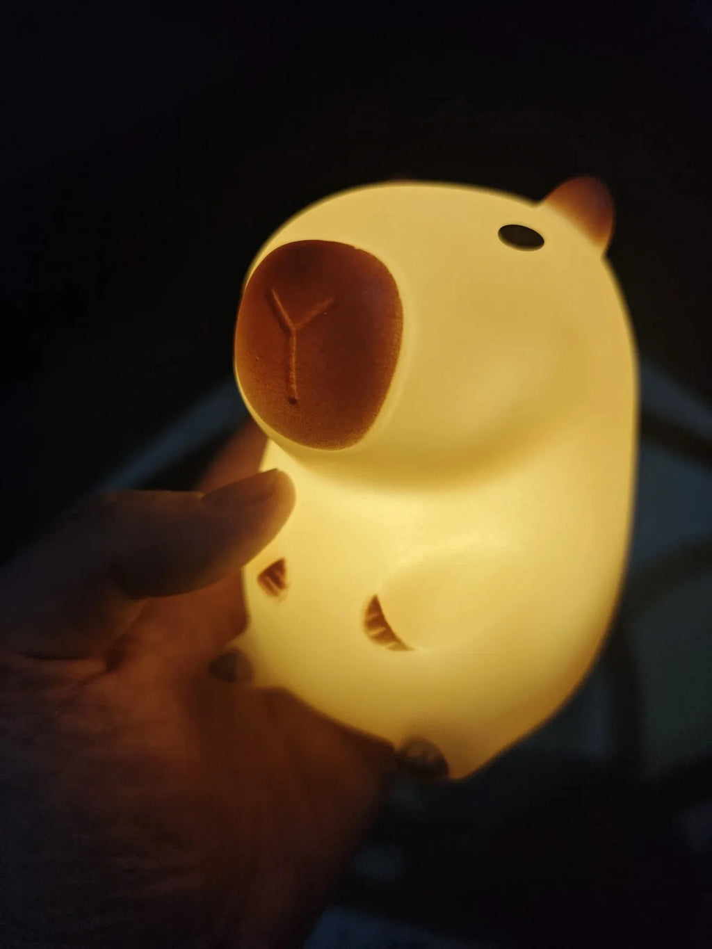 Capybara Light