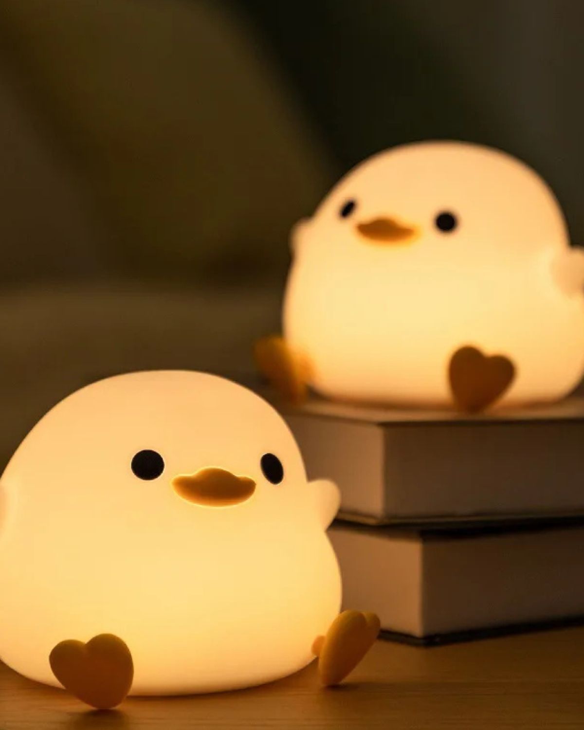 Duck Cartoon Light